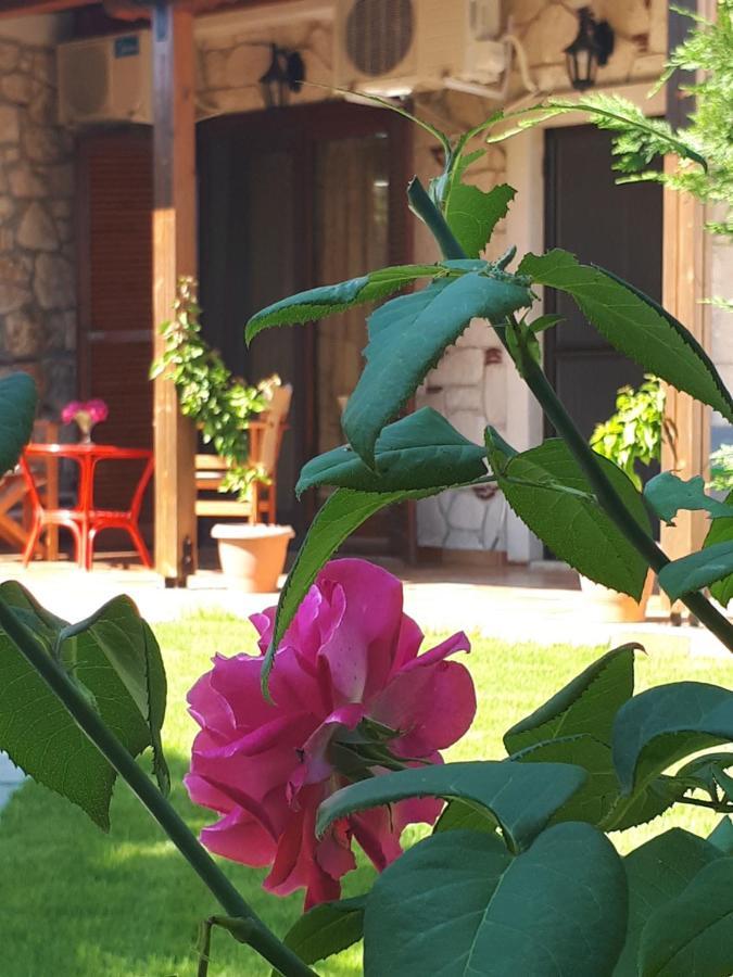 Villa George Afytos Exterior foto
