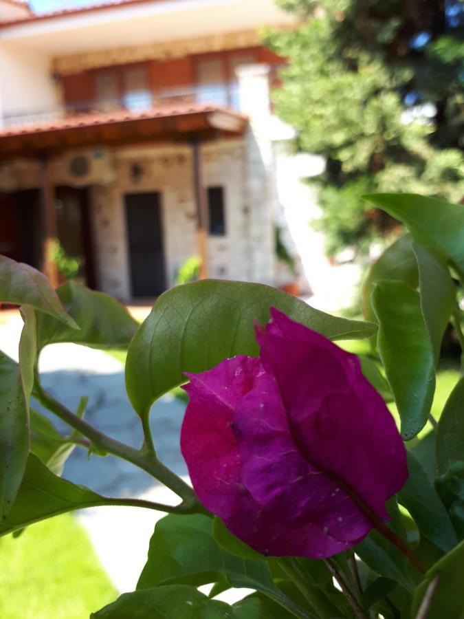 Villa George Afytos Exterior foto
